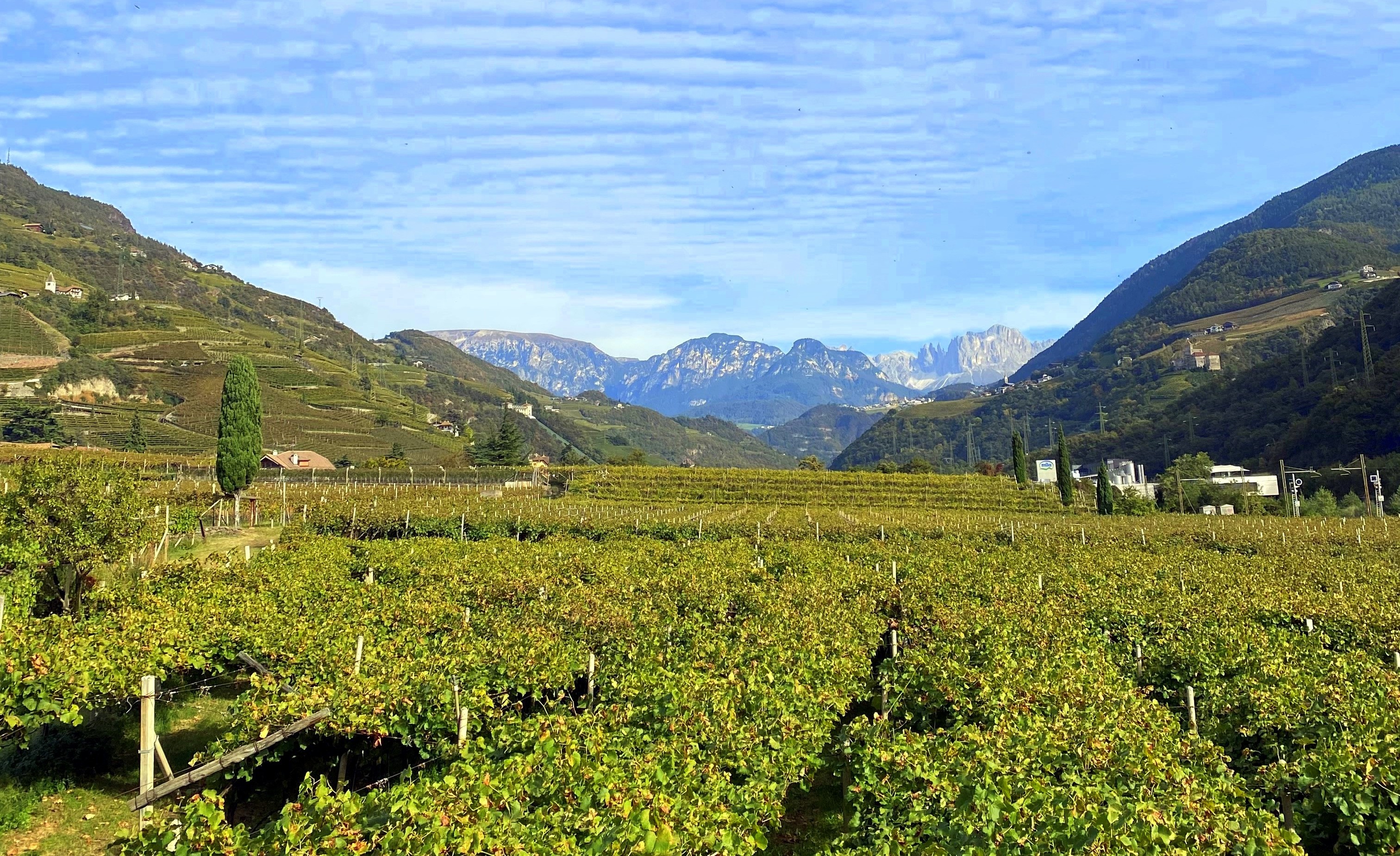 6. Mai 2026: Grand Tasting Zürich
