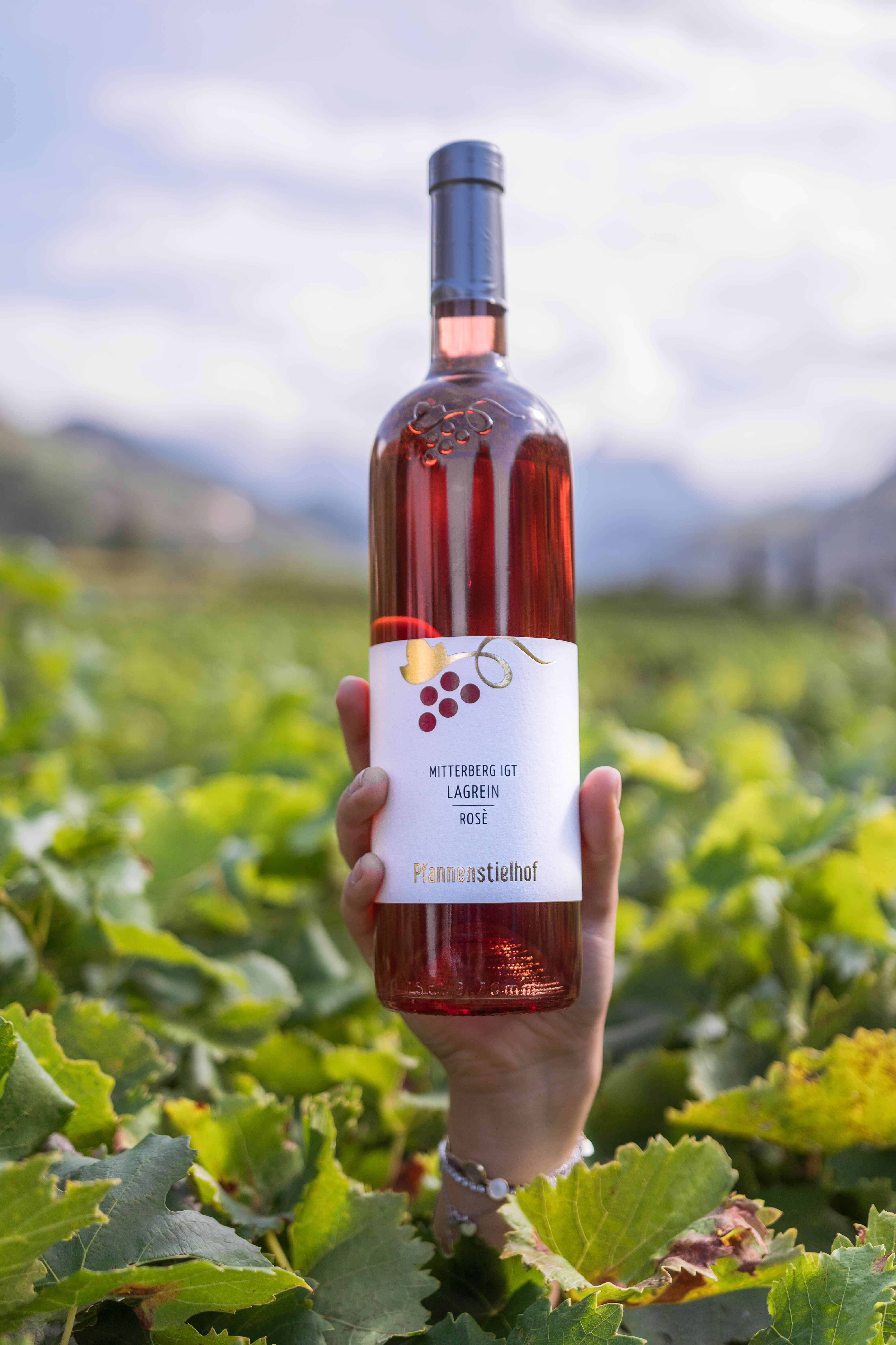 Bild · Lagrein Rosé