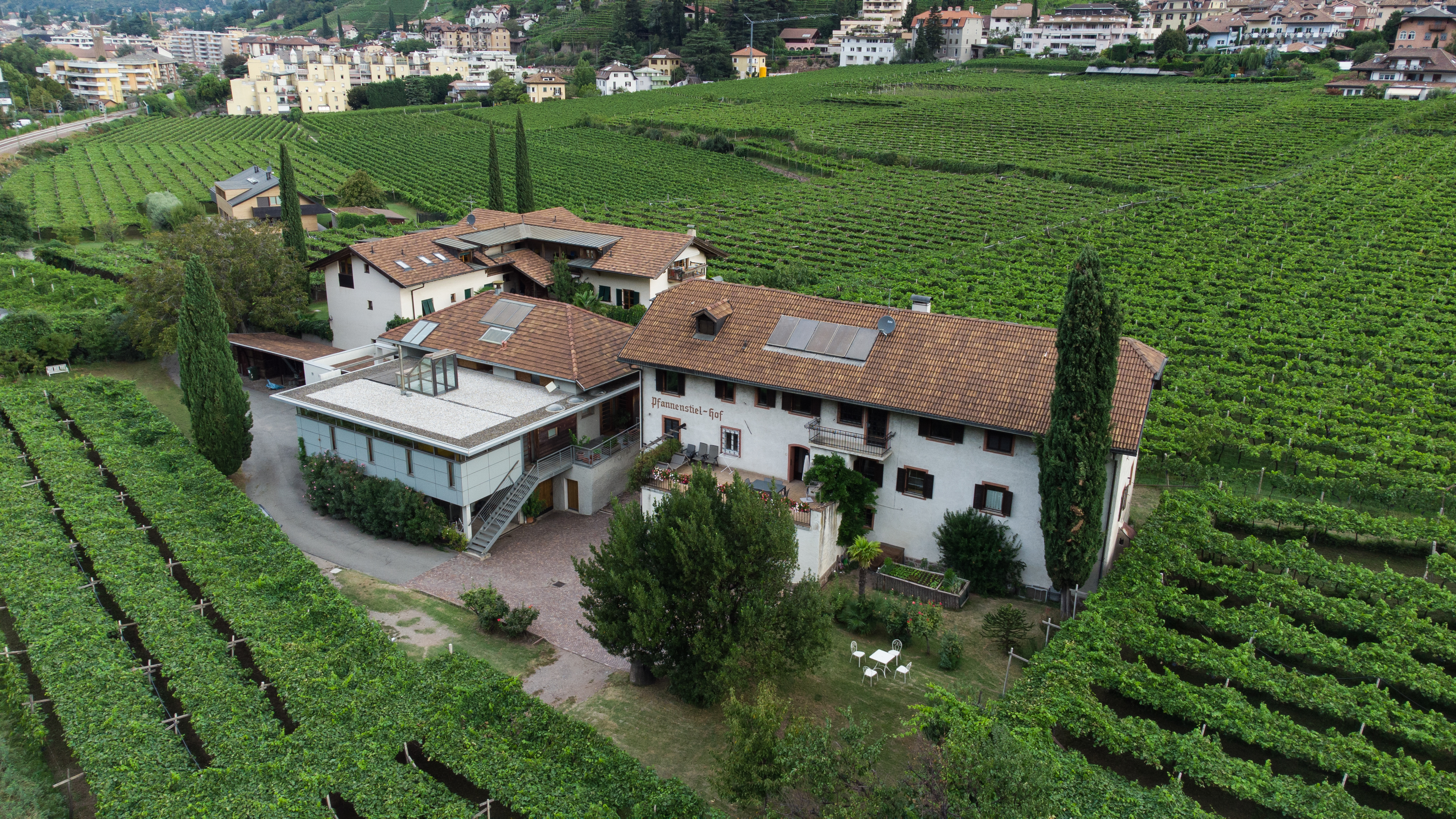 Veduta aerea del Pfannenstielhof a Rencio, circondato da vigneti a pergola alle porte di Bolzano