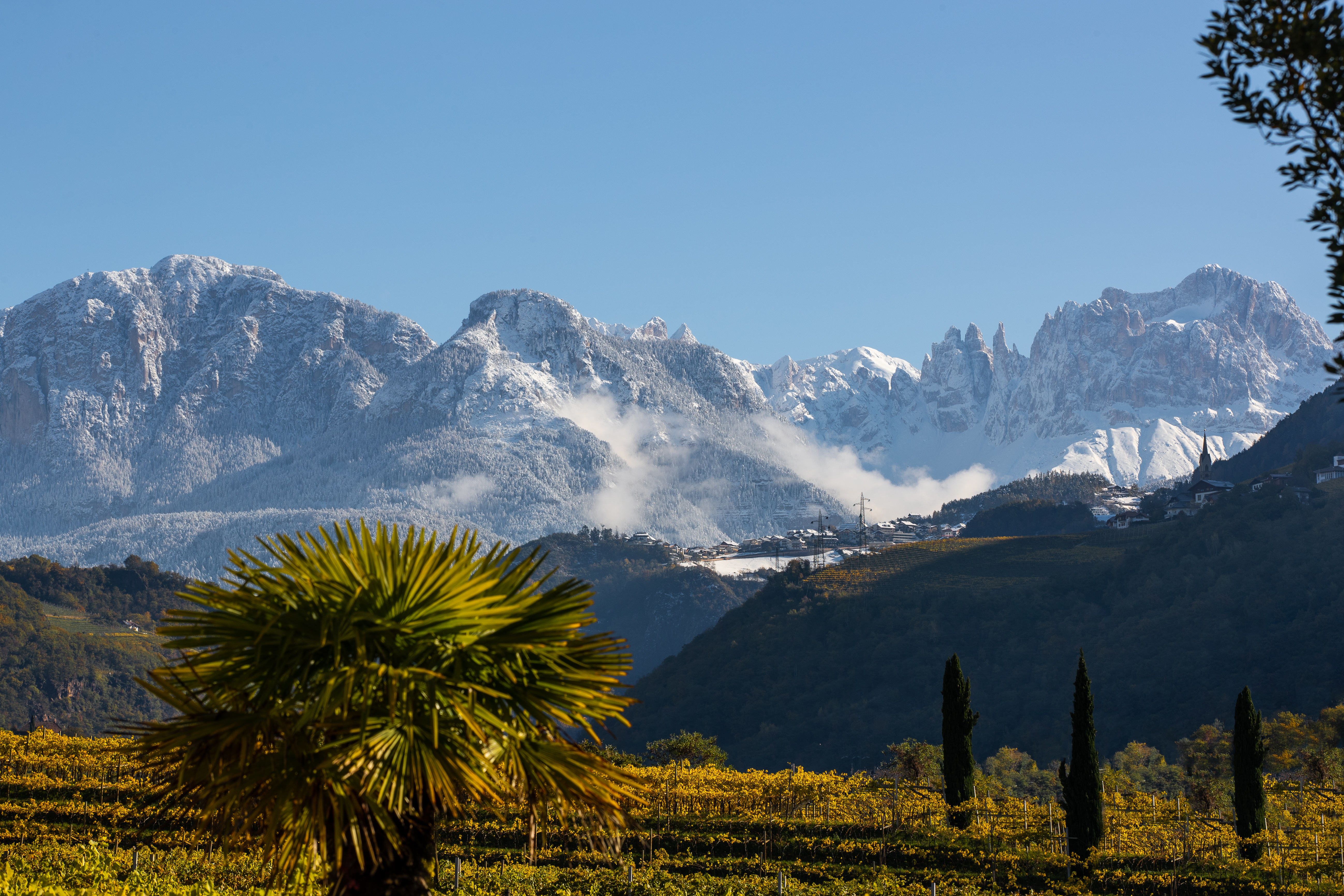 Palmen, Granatäpfel und König Laurins Rosengarten